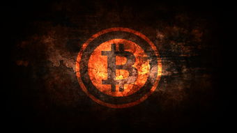 (中信银行顾玉震履历)中信金属总经理顾燕：助力企业稳步发展，铸就行业新纪元。