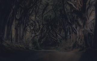 (原始秘密是什么)揭秘原始秘密：探寻人类历史深处的神秘密码和基因起源