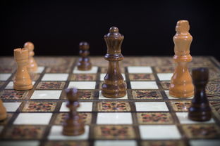 免费下载单机象棋游戏!享受经典棋局,挑战智慧,无需网络连接,尽在单机象棋免费版! 免费下载单机象棋游戏!享受经典棋局,挑战智慧,无需网络连接,尽在单机象棋免费版!