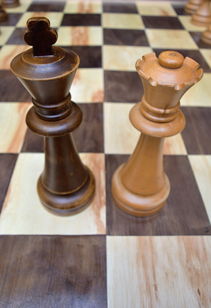 (中国象棋的游戏规则和玩法)揭秘中国象棋游戏的规则和技巧，让你成为象棋大师!