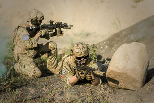 探寻格子征战官方网站：畅游策略战斗的全新冒险体验与精彩活动