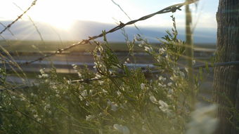 (小小航海士七海纷争)小小航海士七海,凭一叶扁舟,航向未知的彼岸。 (小小航海士七海纷争)小小航海士七海,凭一叶扁舟,航向未知的彼岸。