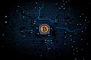 网络热议夜莺逆向指令制作组解散疑云，相关事实真相引全网关注
