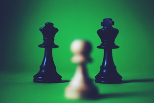 乱世无双手游送满V，战斗无限制，策略成就王者，精彩不容错过!