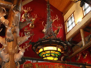 (英格兰骑士团)格兰骑士团韩服停运消息：这款游戏真的已经结束了吗？