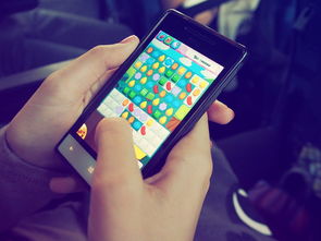 (了凡录 游戏)了凡录手游内部号申请流程及注意事项详解