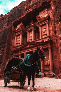 (黑猫奇闻社第二部怎么突然消失了呢)黑猫奇闻社第二部怎么突然消失了？