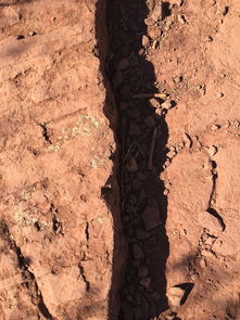 (末世地球进化的小说)末世地球进化场：在毁灭与重生之间探索人类文明的希望与挑战