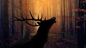 (石破天惊的两大震撼)究竟石破天惊开过什么强大的神秘生物？