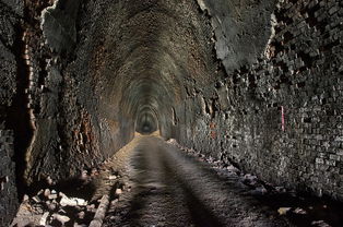 (碧海写的全部小说)探寻《碧海修仙录》后续故事，揭开修仙界的秘密与冒险之旅