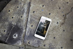 (龙之怒吼还叫什么名字)龙之怒吼的改版：究竟更名为何？精彩续章还是完全重生？