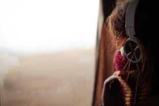 招摇如歌苹果版叫什么名字？快来探究这款令人着迷的音乐应用！