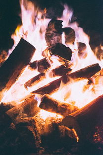 (烈火之剑专题)烈火之剑wiki：探索游戏世界中的神秘与冒险