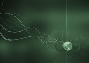 宠物星球融资计划：打造全新宠物生态系统，引领行业未来发展方向