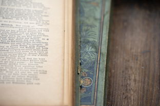 (上海市曙光学者申报指南)上海曙光学者全名单：探寻上海学术界新生力量