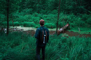 探索梦幻魔法森林游戏的奇幻冒险与神秘生物,开启属于你的魔法之旅 探索梦幻魔法森林游戏的奇幻冒险与神秘生物,开启属于你的魔法之旅