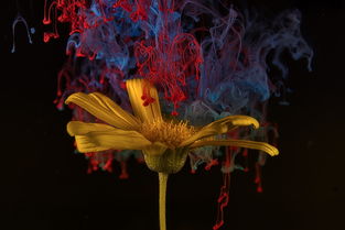 (世界ol洞察法师攻略)探秘世界OL法师攻略大全:提升技能、装备搭配、战斗技巧全解析 (世界ol洞察法师攻略)探秘世界OL法师攻略大全:提升技能、装备搭配、战斗技巧全解析