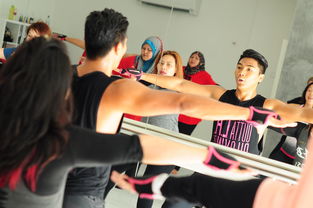 (郑多燕健身舞全集最新中文版)郑多燕健身舞:打破传统健身模式,带你轻松瘦身享受生活 (郑多燕健身舞全集最新中文版)郑多燕健身舞:打破传统健身模式,带你轻松瘦身享受生活