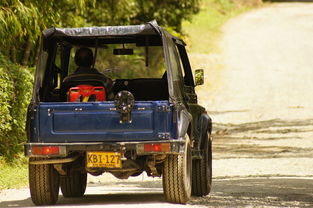 探寻玄幻世界：畅玩QQ游戏凤舞江湖，感受仙侠情怀和掌握武林绝学