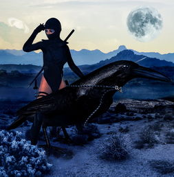 神秘力量觉醒!兽潮来袭,唯有秦枫能拯救世界! 神秘力量觉醒!兽潮来袭,唯有秦枫能拯救世界!