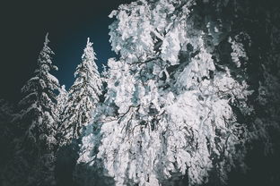 (冰雪封痕)超全攻略!封魔斩冰雪镇单机游戏最全攻略大全 (冰雪封痕)超全攻略!封魔斩冰雪镇单机游戏最全攻略大全