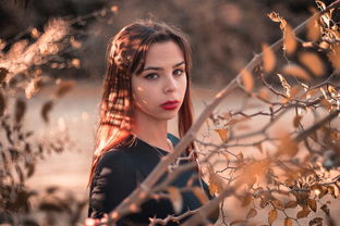 《老滚5》DLC送给戴尔菲娜一个忠实追随者-独家插图与剧情内容揭秘 《老滚5》DLC送给戴尔菲娜一个忠实追随者-独家插图与剧情内容揭秘