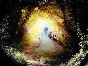 蚂蚁森林古树保护2024年没了：盘点人类破坏力量对自然的冲击和影响