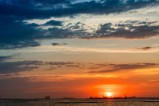 (探索之旅是什么)探索璀璨之旅官方最新版 安卓版,体验全新旅程和精彩冒险 (探索之旅是什么)探索璀璨之旅官方最新版 安卓版,体验全新旅程和精彩冒险