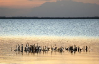 (10首绝美古诗词)十首顶级绝美的古诗，领略千年诗词之美
