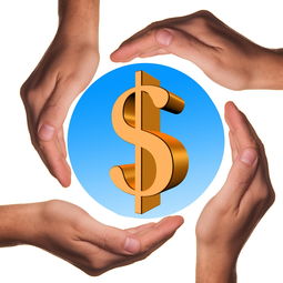 (何处解析)何处解释意思？在哪里可以寻找解释的含义和解答？