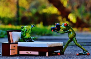 (探索未知世界图片)探索未知的地球online手游官方正版最新版内容和功能 (探索未知世界图片)探索未知的地球online手游官方正版最新版内容和功能