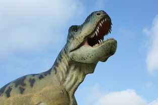 (揭秘中国最后一只恐龙:科学家们的考古探寻是什么)揭秘中国最后一只恐龙:科学家们的考古探寻 (揭秘中国最后一只恐龙:科学家们的考古探寻是什么)揭秘中国最后一只恐龙:科学家们的考古探寻