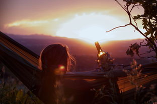 (穿越转生到异世界的状态版面(升级豪华版))穿越异世界冒险攻略:我转生成游戏世界的全新人生 (穿越转生到异世界的状态版面(升级豪华版))穿越异世界冒险攻略:我转生成游戏世界的全新人生