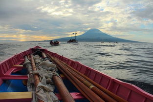 奥哈纳岛2024最新版本下载-奥哈纳岛下载手机版v.8.39 奥哈纳岛2024最新版本下载-奥哈纳岛下载手机版v.8.39