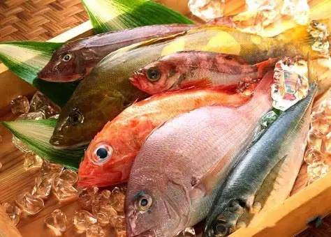 肉鸽鱼吃鱼手机版本官方下载安装-肉鸽鱼吃鱼手机版安卓版下载v.7.21 肉鸽鱼吃鱼手机版本官方下载安装-肉鸽鱼吃鱼手机版安卓版下载v.7.21