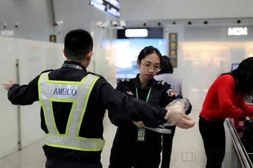 机场安检员中文版2下载-机场安检员中文版2024官方手机版下载v.2.84