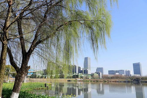 筑梦水乡不减反增版下载-筑梦水乡全解锁最新版2024下载v.2.19