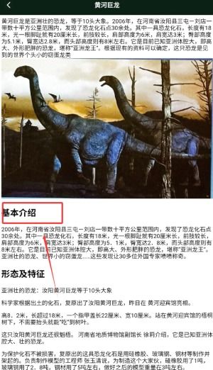 龙岛异兽官方正版无广告版安卓最新版下载-龙岛异兽官方正版下载手机版2024正版更新版v.3.25