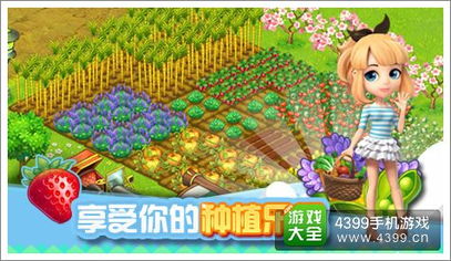 我的口袋农场手机版(正版)下载-我的口袋农场无广告版安卓最新版下载v.3.97 我的口袋农场手机版(正版)下载-我的口袋农场无广告版安卓最新版下载v.3.97