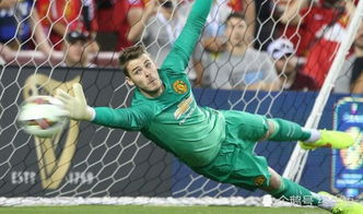 队长小翼最强十一人,最强门将卫冕之路:挑战巅峰,守护荣耀再创辉煌 队长小翼最强十一人,最强门将卫冕之路:挑战巅峰,守护荣耀再创辉煌