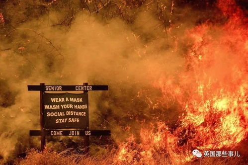 初火之炉：点燃梦想的起始，燃烧热情的熔炉，照亮前行的道路。