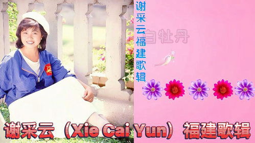 绽放星之声：最动听的主题曲辑集