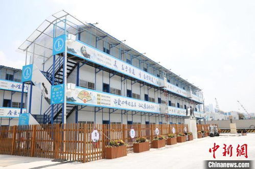 揭秘战鼓之翼:这个项目到底骗了多少人? 揭秘战鼓之翼:这个项目到底骗了多少人?