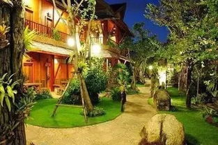 探寻自然之美:原始森林主题酒店体验 探寻自然之美:原始森林主题酒店体验