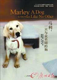 我的宠物不一般:与众不同的养成之路,让我爱意更浓厚 我的宠物不一般:与众不同的养成之路,让我爱意更浓厚