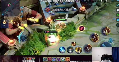 探寻集光物语半神到神材料的奥秘和品质 探寻集光物语半神到神材料的奥秘和品质