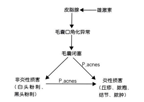 探索与比较死气之炎多元属性形态：在火力、稳定性和使用效果等要点上的系统化分析