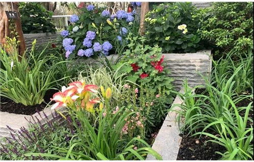 华夏人生怎么玩:探索传统文化,融合现代理念,点亮生活新乐章 华夏人生怎么玩:探索传统文化,融合现代理念,点亮生活新乐章