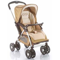 探讨一番：哪款小推车是最方便实用的选择？