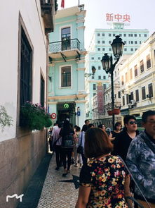 戳穿:澳门大三巴一肖一特一中考试内容同澳门管家婆100谜语大全扼要释义、专家解析解释与落实​,防范不实的假营销